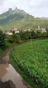 صور من بلادي اليمن Country Roads Golf Courses Field