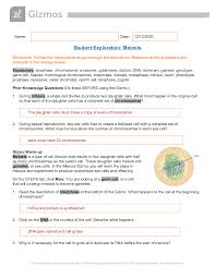 What Are The Possible Genotypes Of The Gametes Gizmo