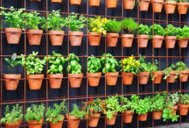 Weichholz für trockene orte wählen. Vertical Gardening Tipps Zum Trend Guardi Blog