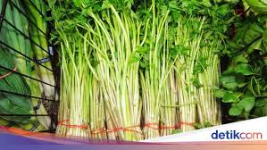 Minari is a korean water dropwort vegetable. 5 Fakta Sayur Minari Yang Menginspirasi Film Korea Minari