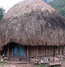Termasuk rumah adat asli suku banjar. Rumah Adat Honai Berasal Dari Adat Budaya Indonesia