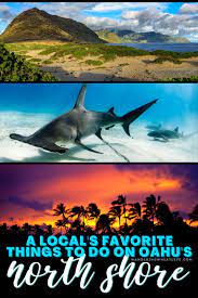 A Local S 12 Favorite Things To Do On The North Shore North Shore Oahu Oahu Travel Hawaii Travel