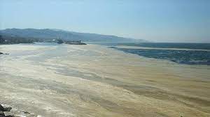 Experts linked the increasing amount of sea snot to high sea temperatures stemming from climate change as well as the discharge of untreated sewage into the sea. Bcggyirm69kq1m