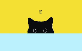 A place to post memes of and related to popcat, the greatest meme of our generation. Hd Pop Art Cat Wallpapers Peakpx