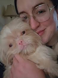 Timothy Mable's Instagram, Twitter & Facebook