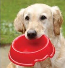 The simplest way to donate pet food is to order online and have it shipped to one of our shelters. Pet Food Bank Delaware Health And Social Services State Of Delaware