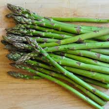 Image result for Asparagus officinalis
