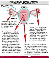 From your smile, to your abs, down to your butt, here are the top 10 male body body parts women love. The Man Cave Guide To Lady Parts Romney Edition