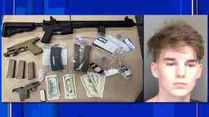 Macomb County man reportedly caught with drugs, guns