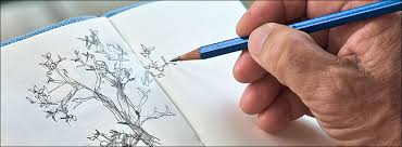 Image result