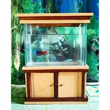 Cari info rumah minimalis dikontrakkan cepat butuh uang Aquarium Mini Set Lemari P20cm Soliter Ikan Cupang Shopee Indonesia