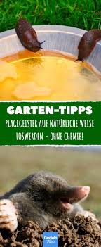 Man Gibt Kaffeepulver In Den Aschenbecher Und Zundet Es An Endlich Unbeschwert Im Garten Entspannen Gartenschadlinge Aschenbecher Schnecken Im Garten