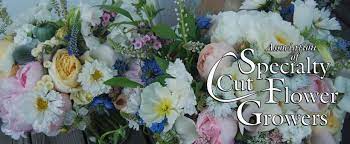 Maybe you would like to learn more about one of these? Association Of Specialty Cut Flower Growers Inc Home Facebook