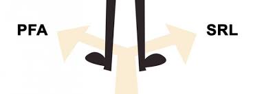 Maybe you would like to learn more about one of these? Pfa Sau Srl Avantaje È™i Dezavantaje Chronax