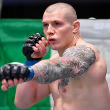 When the pair met three years ago on the main card of ufc on fox 29 or what was also known as ufc on fox: Ufc Vegas 16 Final Stats For Record Breaking Main Event Bloody Elbow
