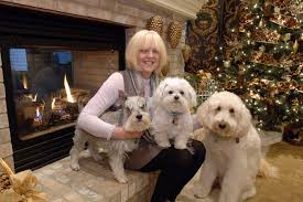 Image result for Handic 008