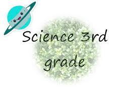 Pixie dust, magic mirrors, and genies are all considered forms of cheating and will disqualify your score on this test! Grade 3 Science Living Things Science Quiz Quizizz