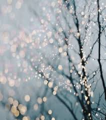 Check spelling or type a new query. Aesthetic Christmas Images On Favim Com