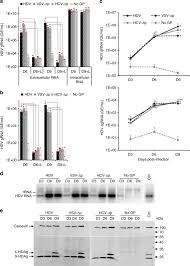 In the uk, it accounts for an estimated 99% of. Enveloped Viruses Distinct From Hbv Induce Dissemination Of Hepatitis D Virus In Vivo Nature Communications