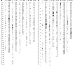 frontiers construction of high density genetic maps and