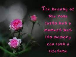 The Beauty Of The Rose Lasts But A Moment But Its Memory Can Last A Lifetime Flower Quotes Beautiful Flower Quotes Rose Flower Quotes
