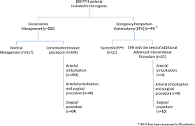 Flow Chart Of The Study Pph Postpartum Haemorrhage Eph