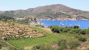 Cerca nel più grande indice di testi integrali mai esistito. Les Pyrenees Orientales Entre Mer Et Montagne C Est Aussi Le Sud De La France 1 4 Le Francofil