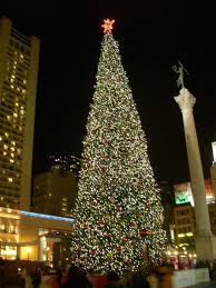 San Francisco S Best Christmas Trees And Holiday Lights Cool Christmas Trees Holiday Lights San Francisco Holiday