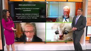 A video of the amusing mishap has since been viewed at least 20million times. Clip Of Attorney Stuck In Cat Filter Goes Viral News 4 Buffalo