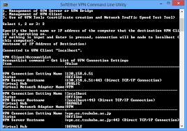 Image result for softether vpn server GUI