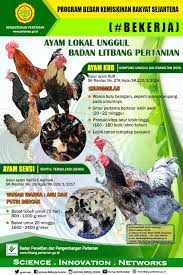 Check spelling or type a new query. Agroinovasi Ø¹Ù„Ù‰ ØªÙˆÙŠØªØ± Salah Satu Unsur Utama Program Bekerja Adl Pemberian Bantuan Ayam Bagi Rumah Tangga Miskin Balitbangtan Mendukung Program Ini Dgn Menyediakan Bibit Ayam Baik Ayam Kub Ayam Petelur Serta Ayam
