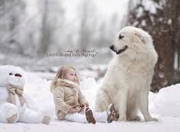 Black And White Great Pyrenees Great Pyrenees Dogs And Kids Great Pyrenees Winter Dog