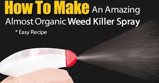 How to make weed killer. Almost Organic Weed Killer Spray Recipe
