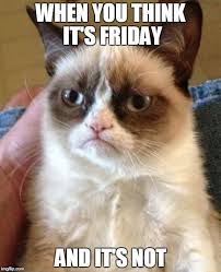 What do you think of the friday meme? When You Think It S Friday Anditsnot Meme Video Gifs Think Meme Friday Meme Anditsnot Meme