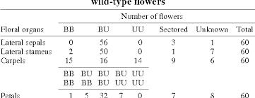 Pdf | floral patterning and morphogenesis are controlled by many transcription factors including floral homeotic proteins, by arabidopsis ap2 induces floral patterning defects in n. Pdf Initiation Patterns Of Flower And Floral Organ Development In Arabidopsis Thaliana Semantic Scholar