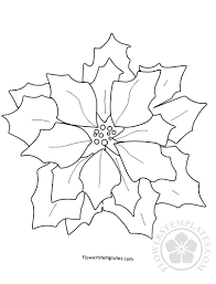 Poinsettia coloring page twisty noodle printable poinsettia. Chrismas Poinsettia Coloring Page Flowers Templates