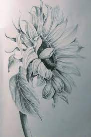 'sunflower sketch hand drawing pencil' canvas print by tetyboom. Flower Sunflower Drawing Realistic Flower Drawing Pencil Drawings Of Flowers