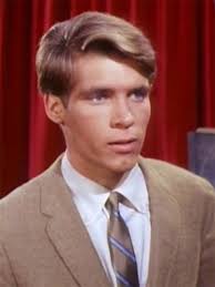 My Three Sons: Season 6, Episode 4