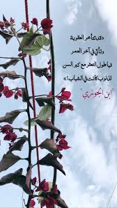 pin by الوتين on خلفيات دينية learn arabic language photo quotes learning arabic