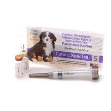 When to vaccinate your puppy. Canine Spectra 5 Single Dose Vaccine Injection