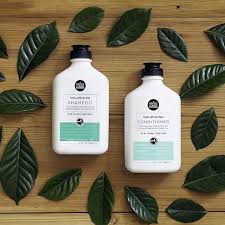 John Frieda Go Blonder Lightening Shampoo For Blonde Color-Treated Hair,  Paraben Free, Phthalate Free, Silicone Free, Ammonia Free, Cruelty Free,  Vegan Friendly Blonde Shampoo 8.3 Oz Bottle - Walmart.Com