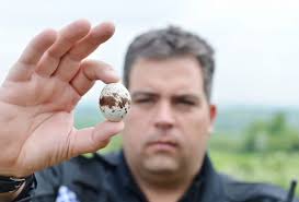 Police go after egg thieves, but not the chocolate kind...