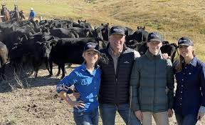 Pasture systems produces early maturing Angus steers at Dungog