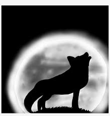 Images Drawings Of Wolves Howling At The Moon In Pencil Wolf Howling At Moon Cartoon 894x894 Png Download Pngkit Download this premium vector about cartoon wolf howling on white, and discover more than 10 million professional graphic resources on freepik. wolf howling at moon cartoon