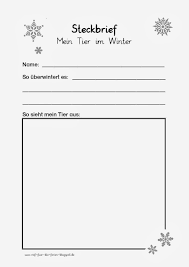 Tiere Im Winter Steckbrief Reif Fur Die Ferien Unterricht Ideen Steckbrief