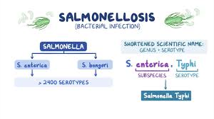 Food is the source for most of these illnesses. Nontyphoidal Salmonella Infections Infectious Diseases Merck Manuals Professional Edition