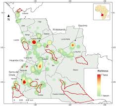 Image result for Vigna comosa