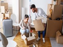 Furniture Movers product image