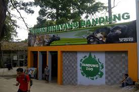 Ayuk seru seruan bermain air di cokro tulung klaten go trip indonesia. Mulai Sabtu Besok Kebun Binatang Bandung Dibuka Pengunjung Dibatasi 1 800 Orang