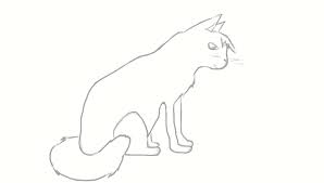 Kucing dapat kalian gambar dengan menambahkan beberapa aksesoris seperti kalung dan juga gelang yang biasa terpasang pada kakinya. Whiskers Cat Hare Horse Line Art Cara Menggambar Kucing Anime Kuda Putih Png Pngegg